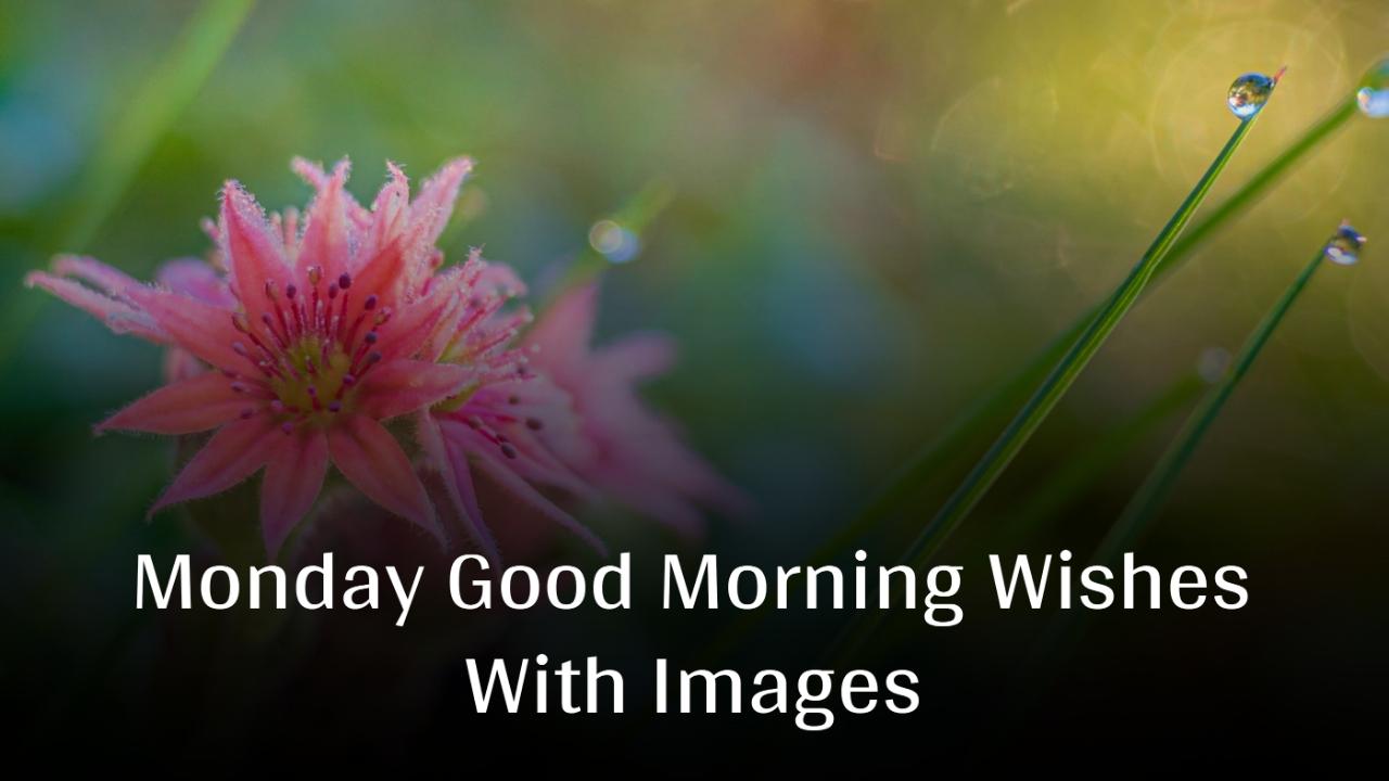 Monday Good Morning Wishes With Images