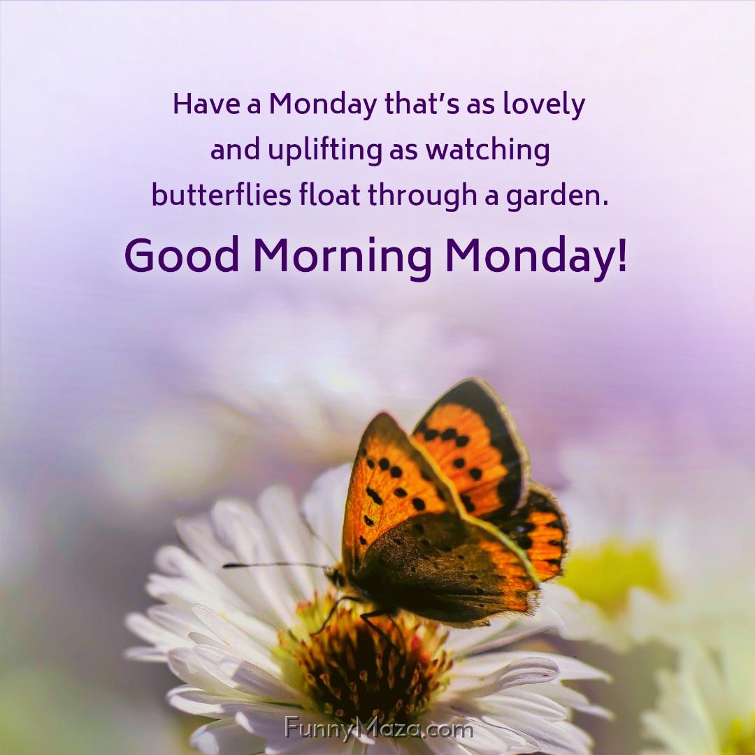 Have a Monday that’s as lovely and uplifting as watching butterflies