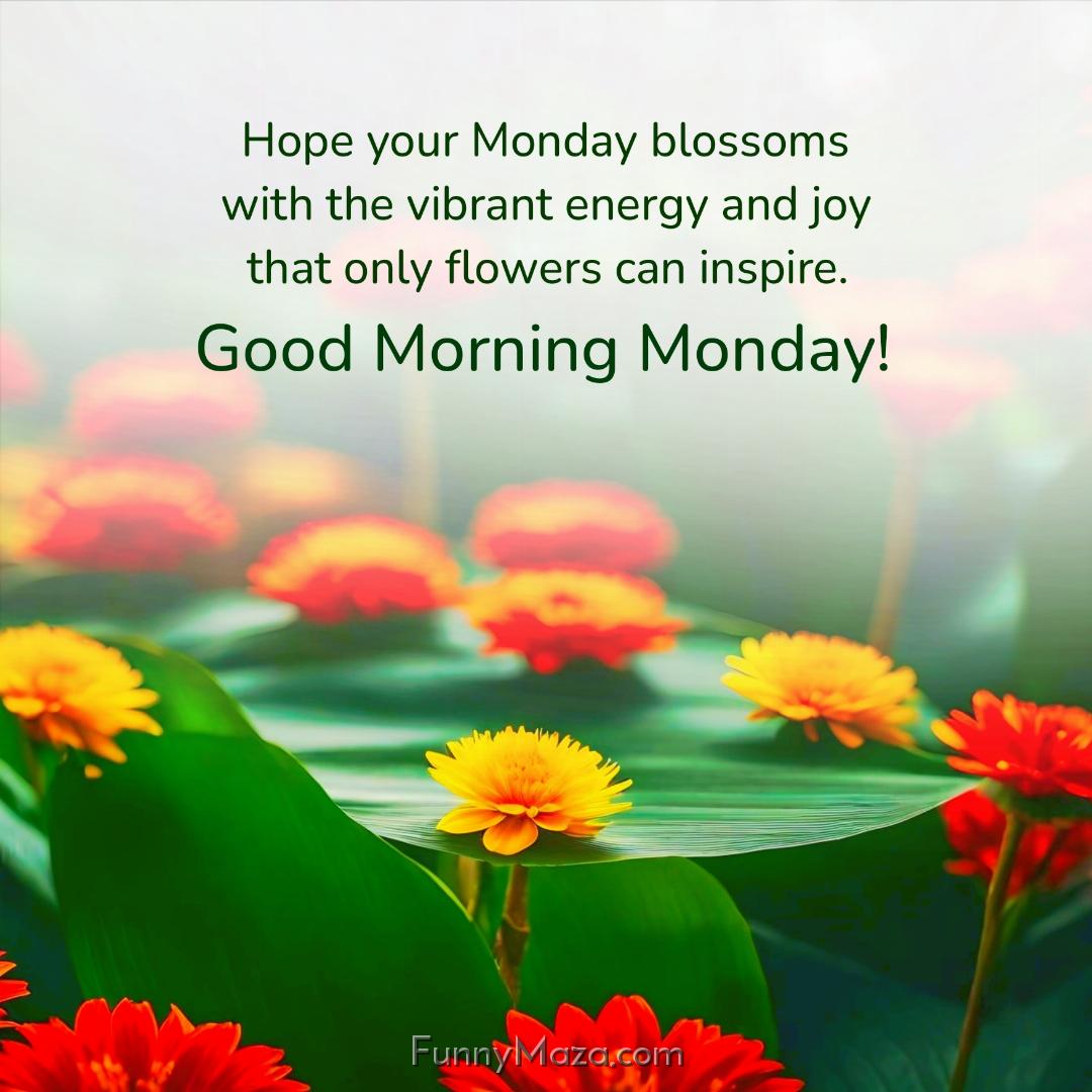 Hope your Monday blossoms with the vibrant energy and joy that