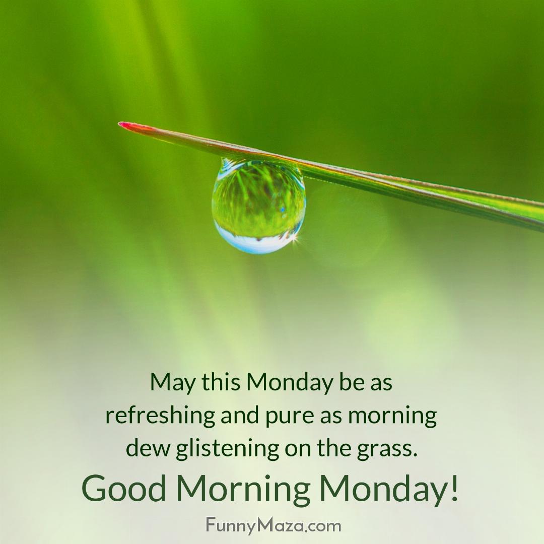 May this Monday be as refreshing and pure as morning dew