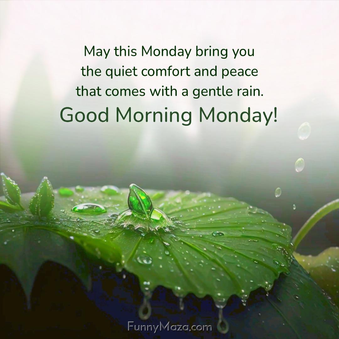 May this Monday bring you the quiet comfort and peace that