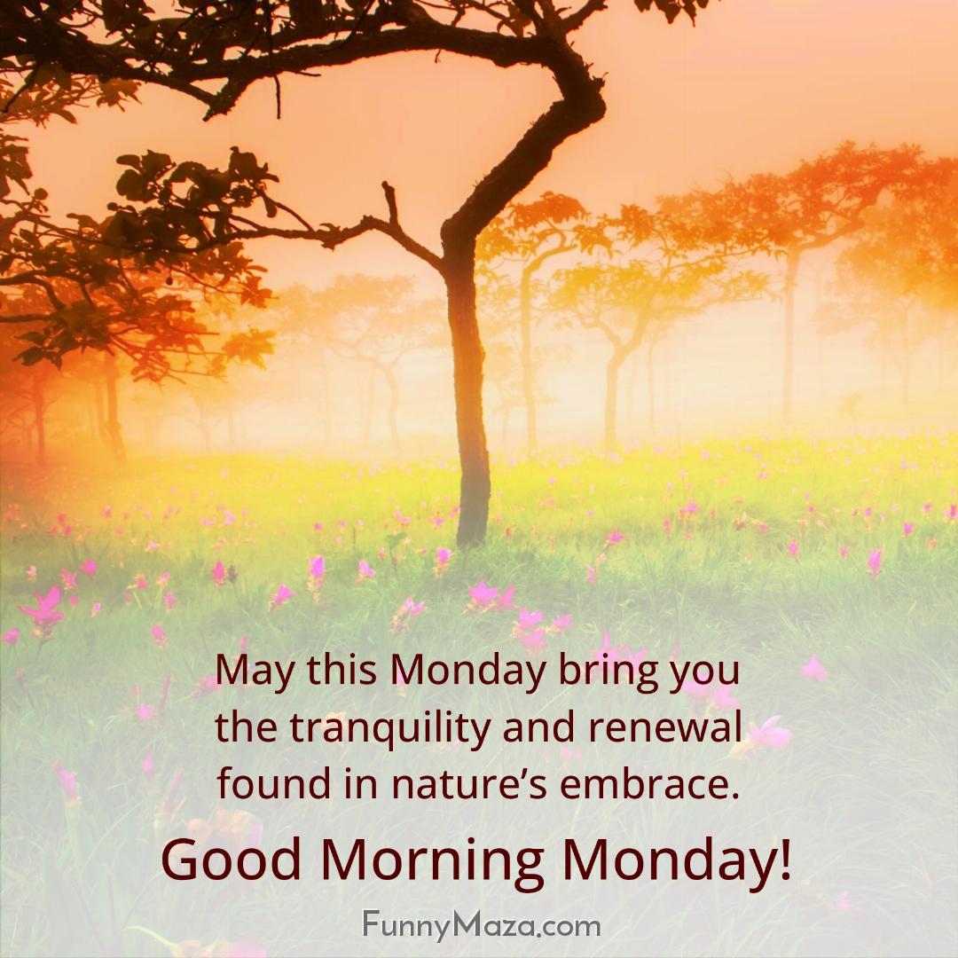 May this Monday bring you the tranquility and renewal found in