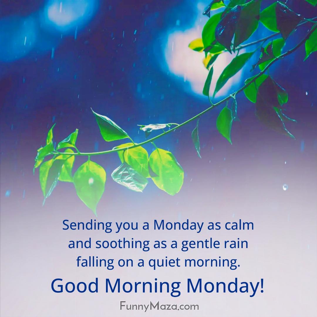 Sending you a Monday as calm and soothing as a gentle