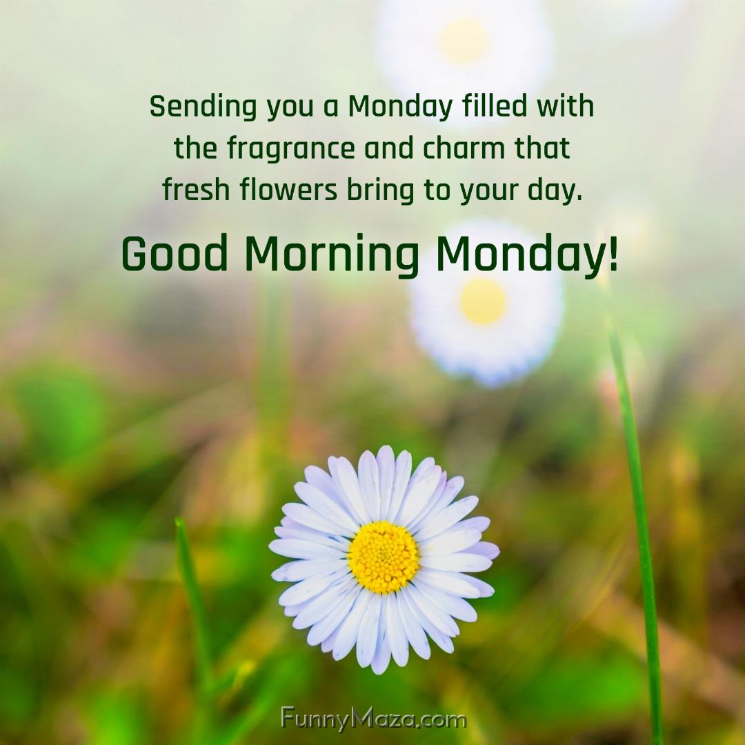 Sending you a Monday filled with the fragrance and charm that