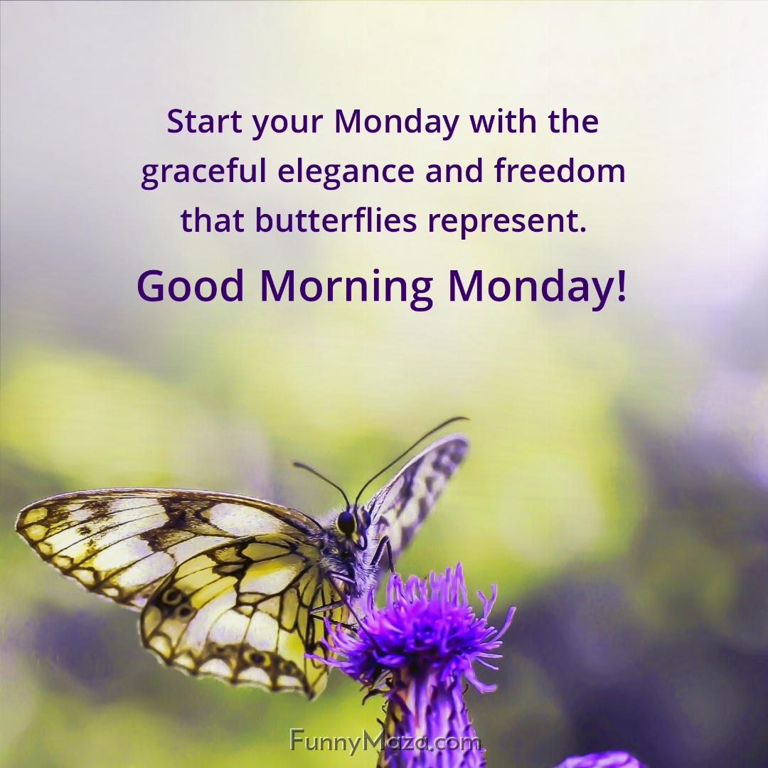 Start your Monday with the graceful elegance and freedom that butterflies