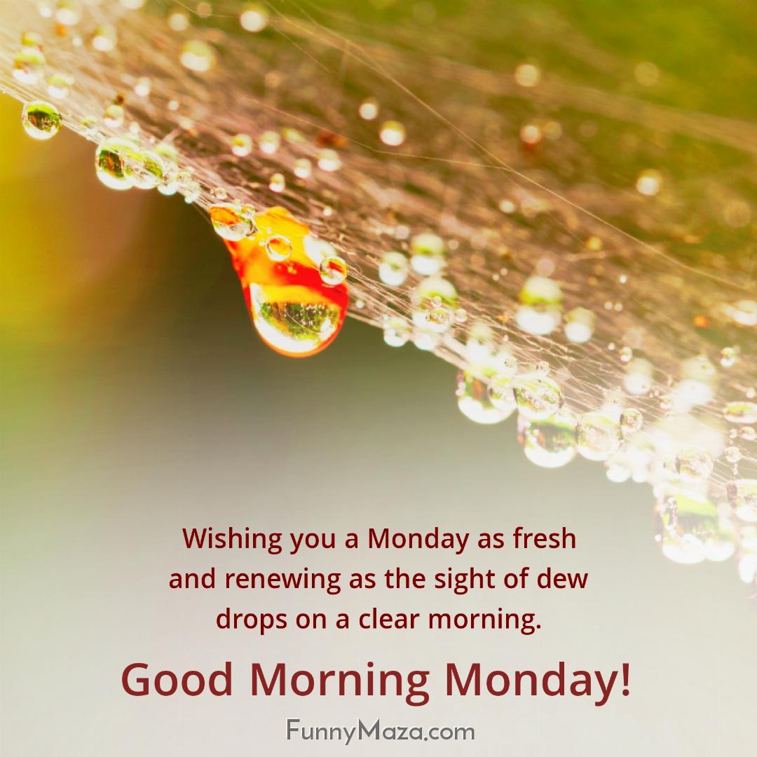 Wishing you a Monday as fresh and renewing as the sight