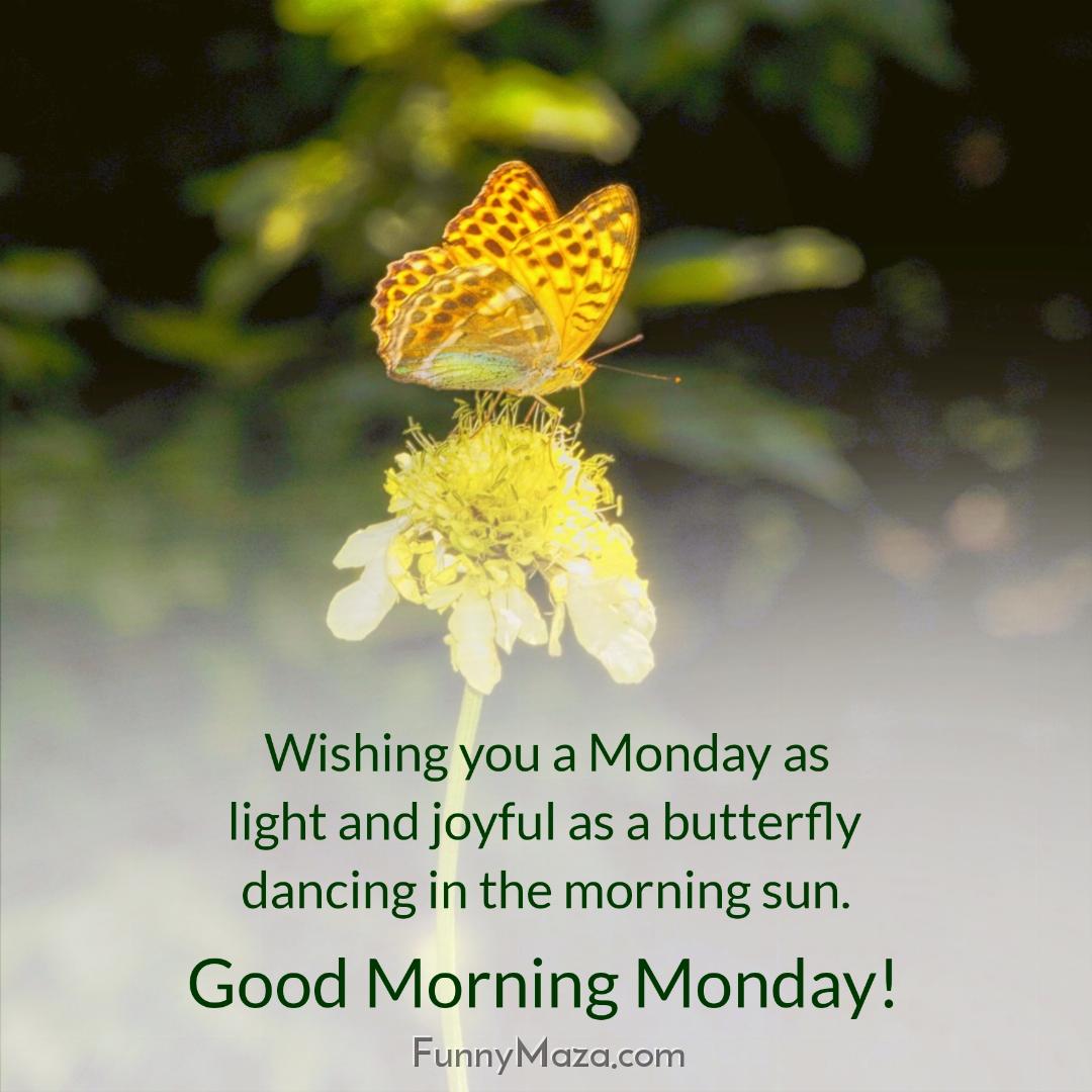 Wishing you a Monday as light and joyful as a butterfly