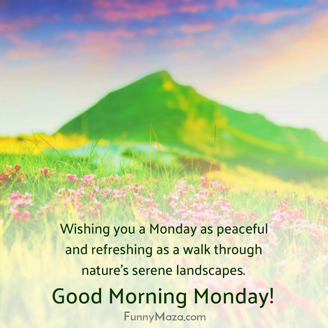 Wishing you a Monday as peaceful and refreshing as a walk