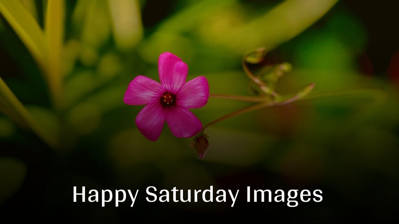 Beautiful Happy Saturday Images