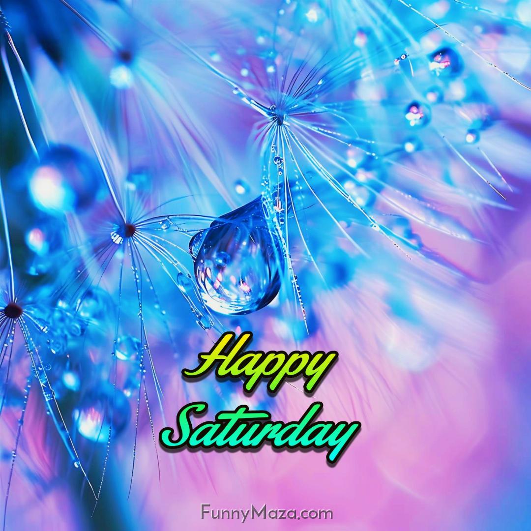 Beautiful Saturday Dew Drops Images