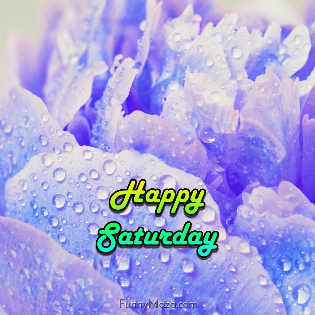 Happy Saturday Dew Drops Wallpaper