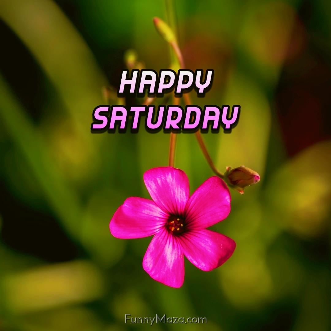 Happy Saturday Flowers Wallpaper