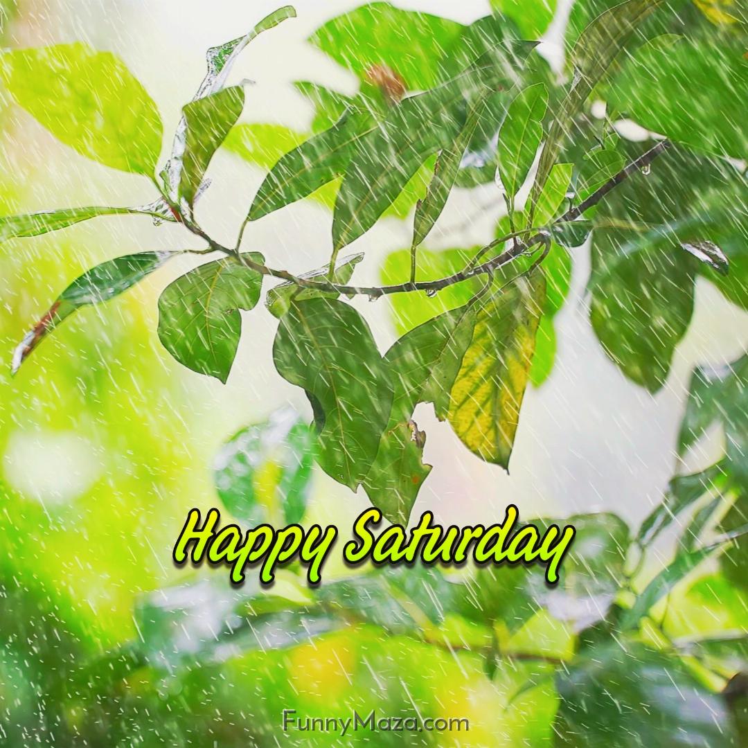 Happy Saturday Rainy 2024 Images