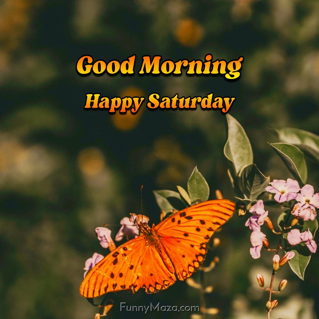 Good Morning Happy Saturday Butterfly Wallpaper