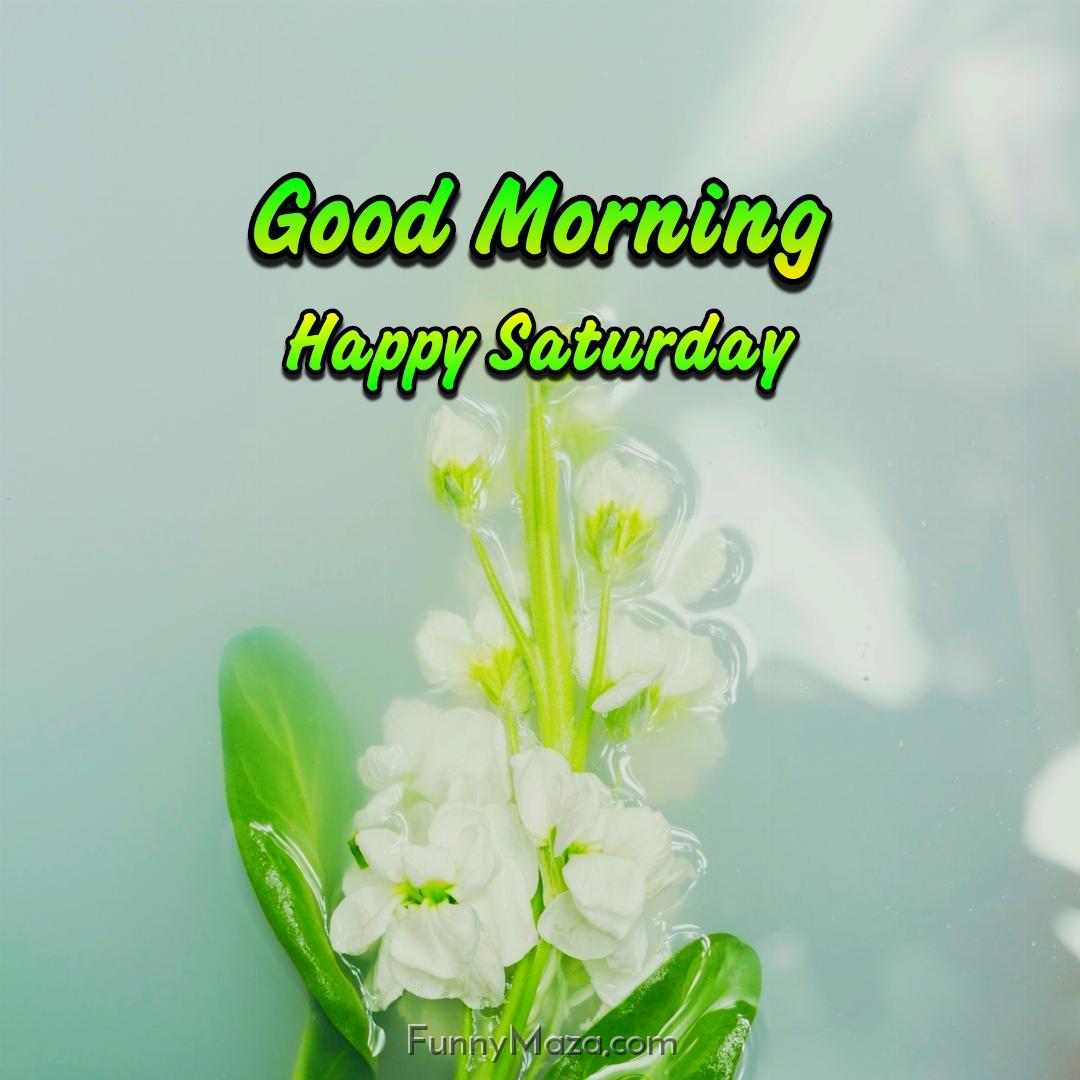 Good Morning Happy Saturday Flowers Images