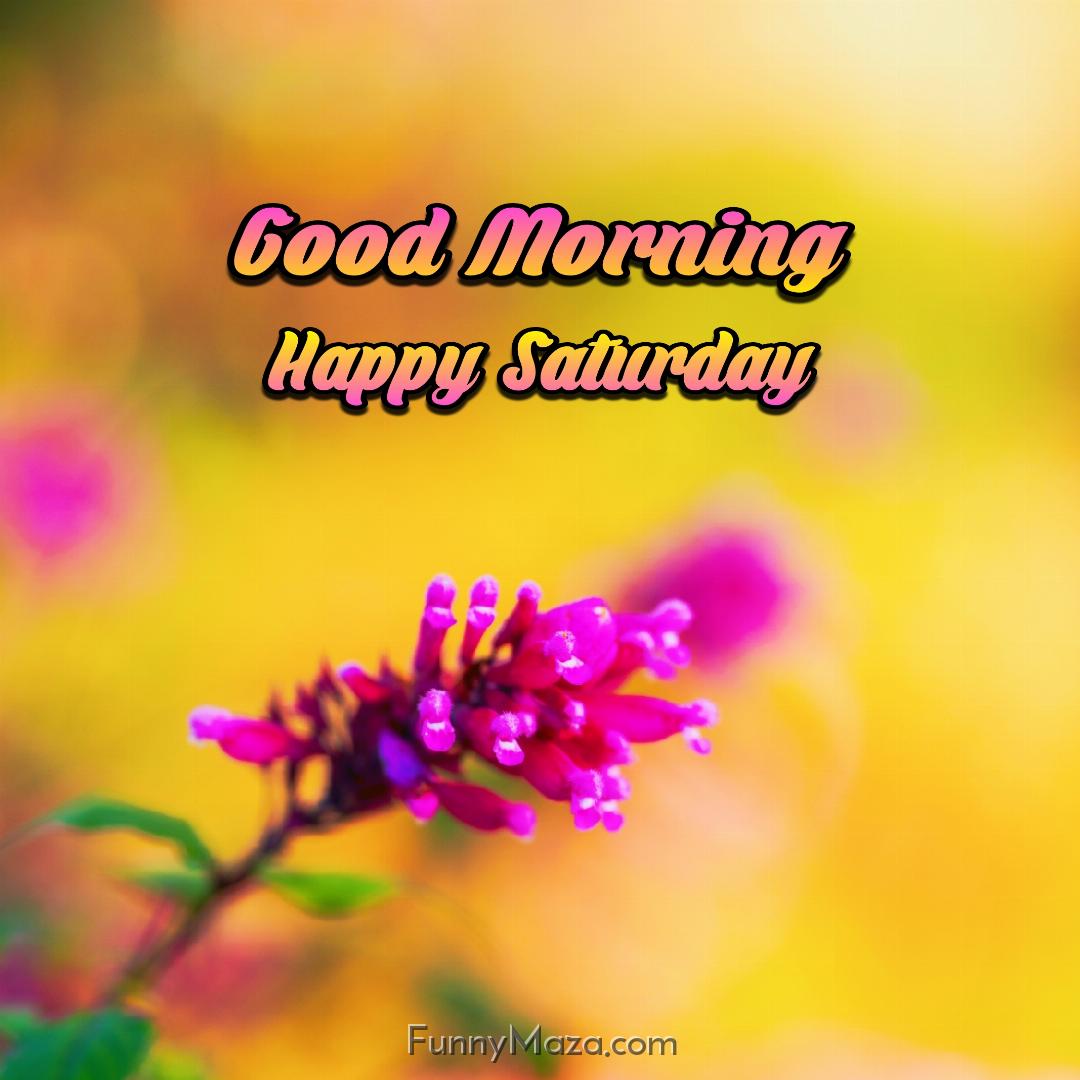 Good Morning Happy Saturday Flowers Wallpaper