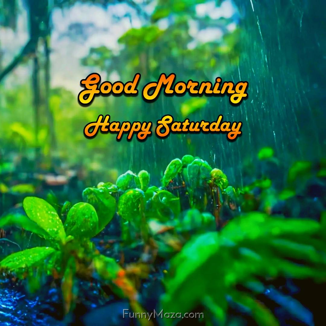 New Good Morning Happy Saturday Rainy Images 2024 HD Download