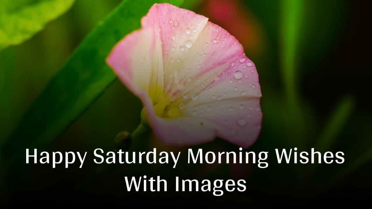 Happy Saturday Morning Wishes With Images