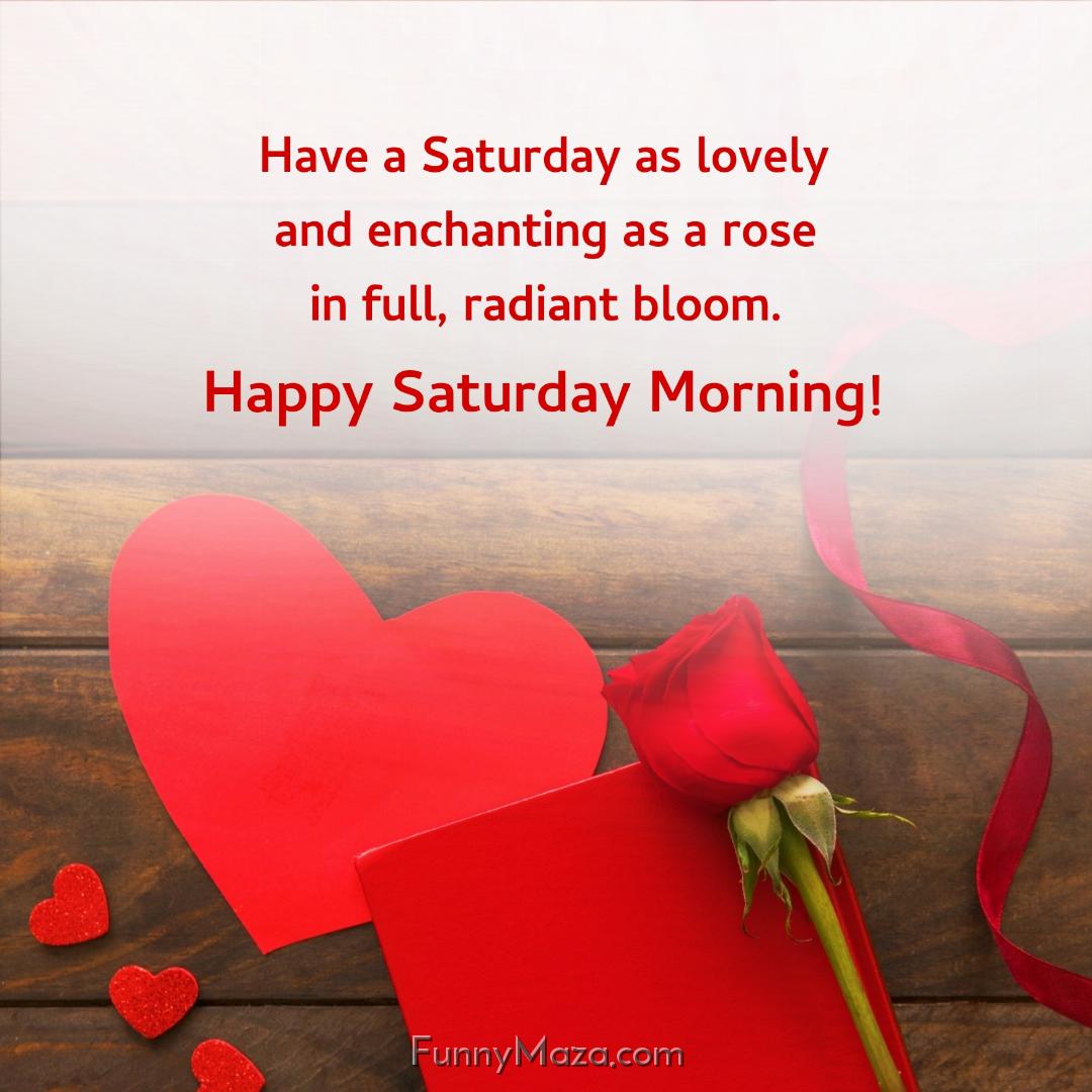 Have a Saturday as lovely and enchanting as a rose in