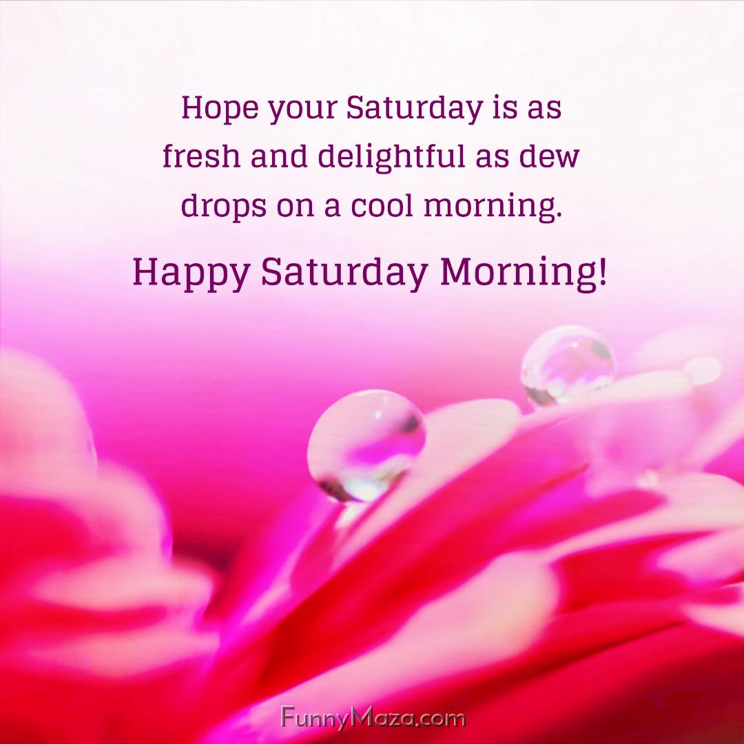 Hope your Saturday is as fresh and delightful as dew drops