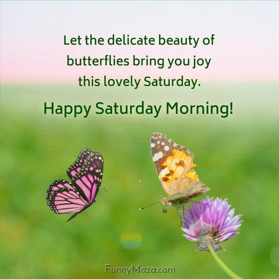 Let the delicate beauty of butterflies bring you joy this lovely