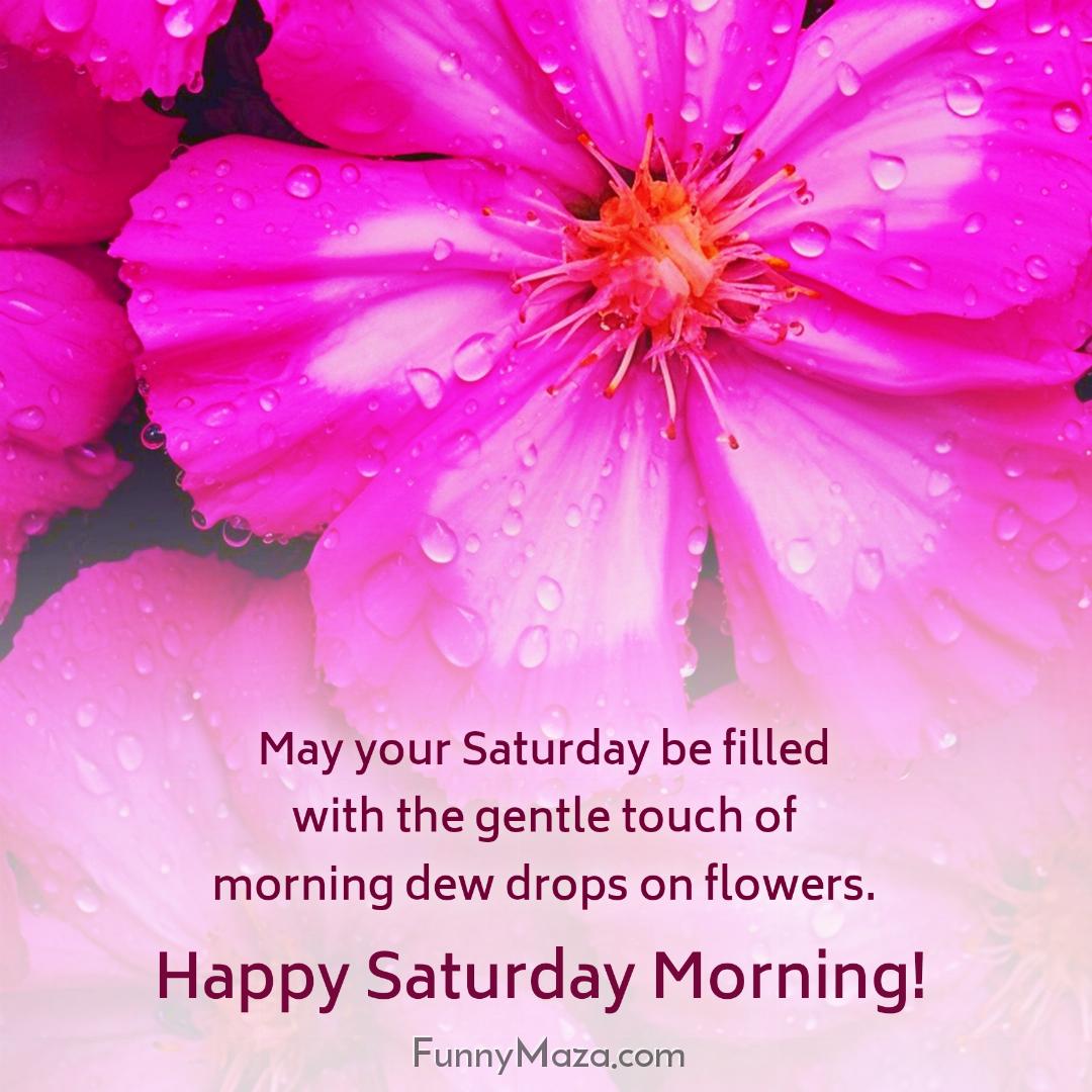 May your Saturday be filled with the gentle touch of morning