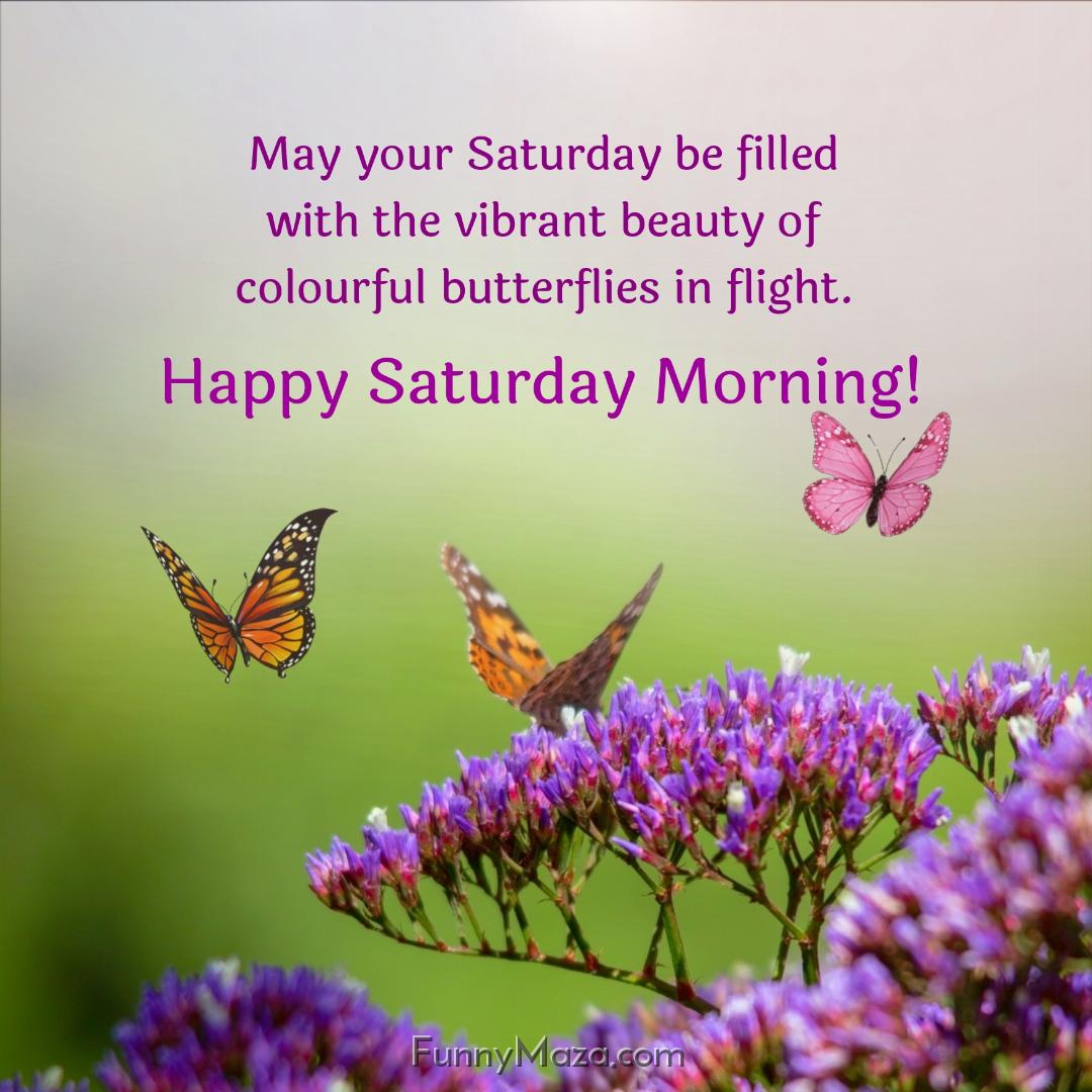 May your Saturday be filled with the vibrant beauty of colourful