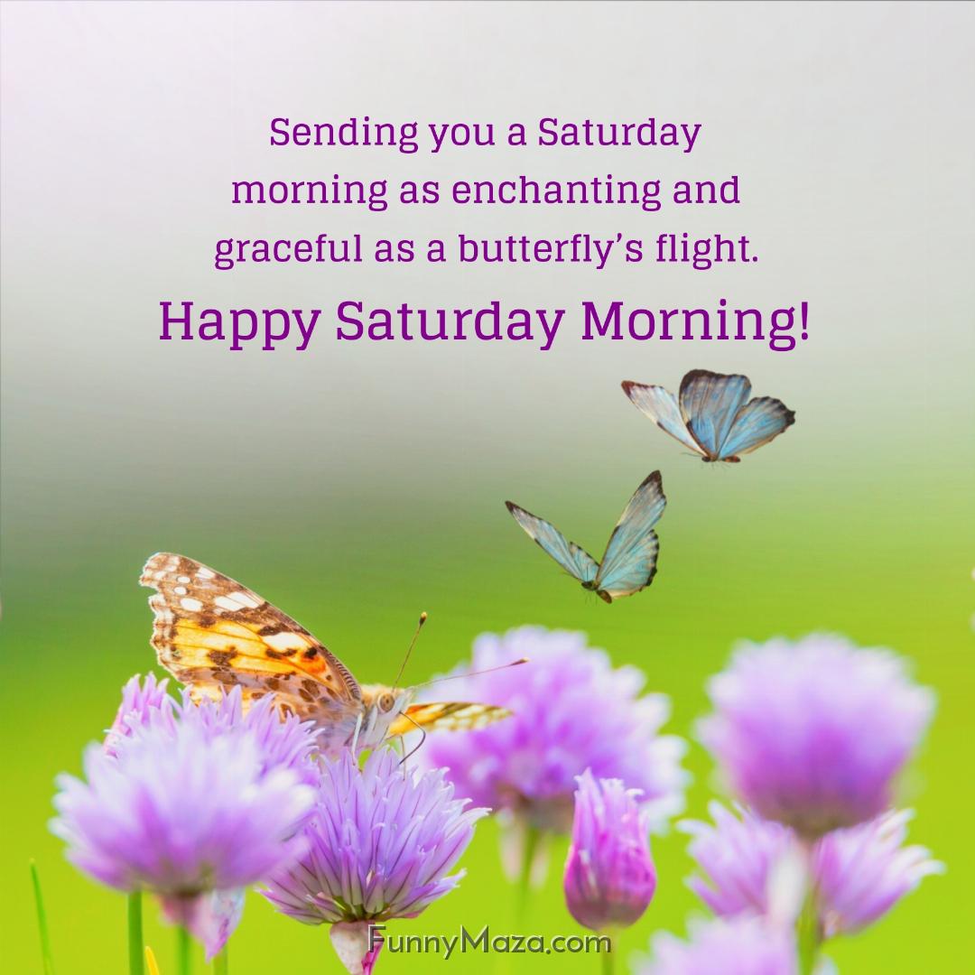 Sending you a Saturday morning as enchanting and graceful as a