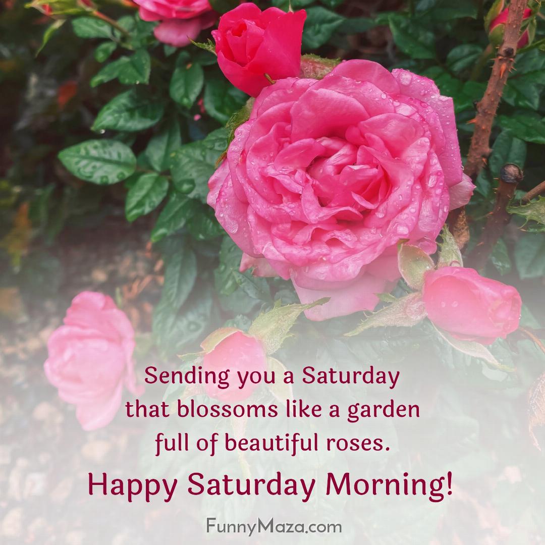 Sending you a Saturday that blossoms like a garden full of