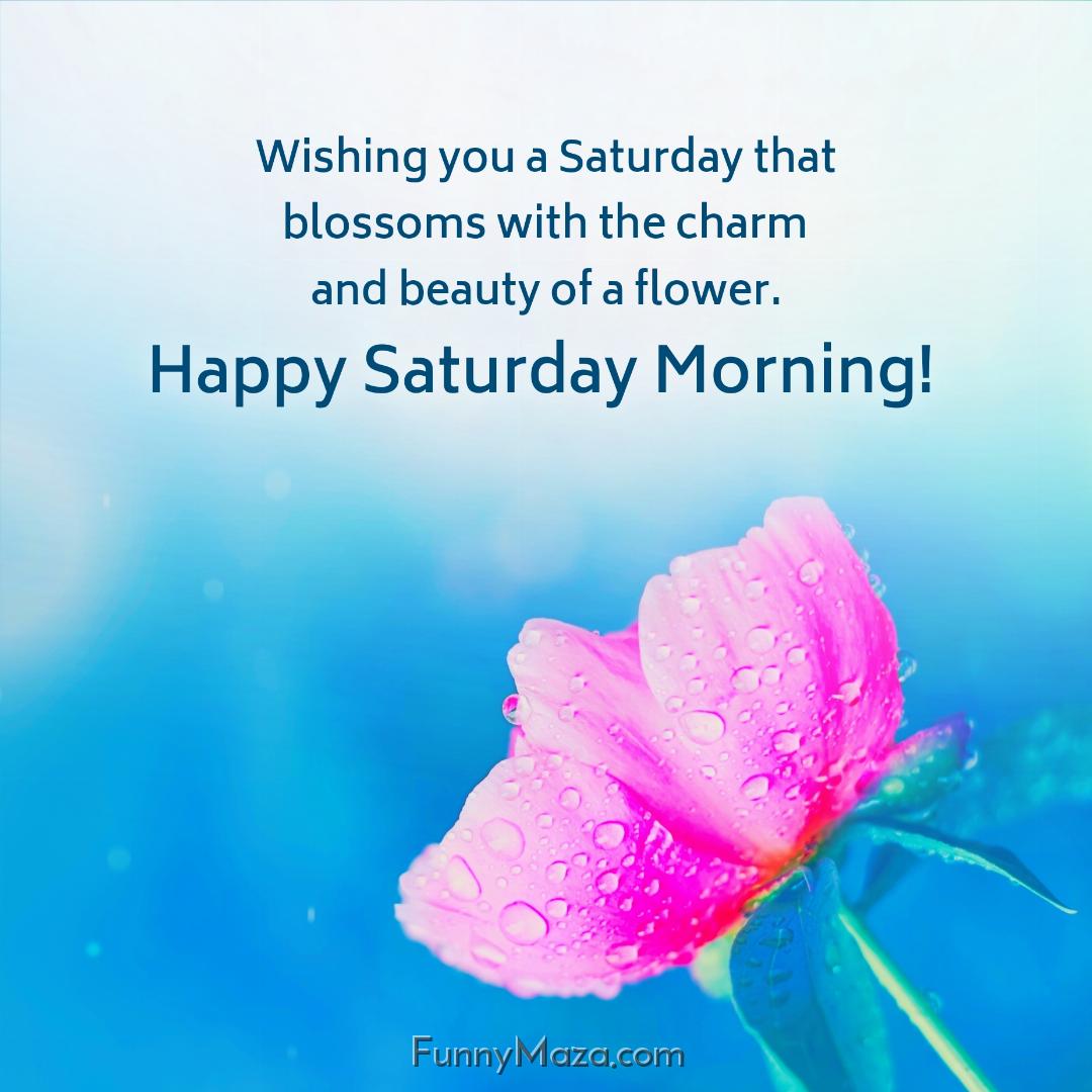 Wishing you a Saturday that blossoms with the charm and beauty