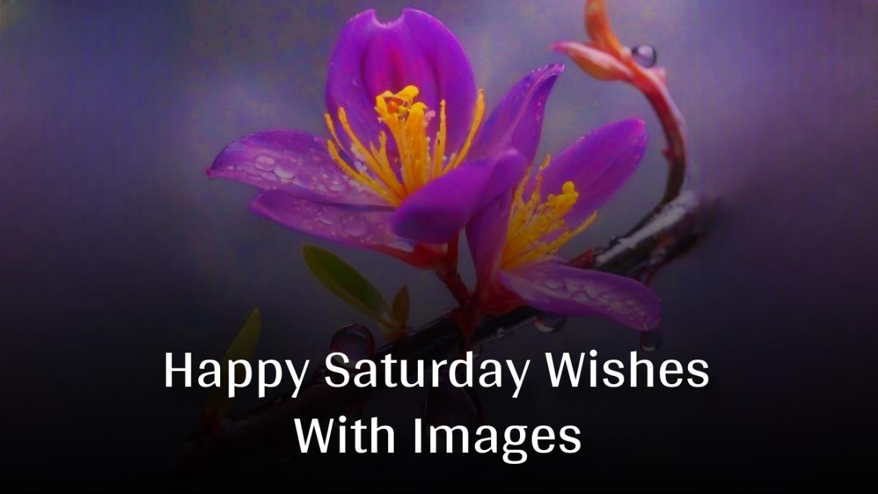 Beautiful Happy Saturday Wishes With Images