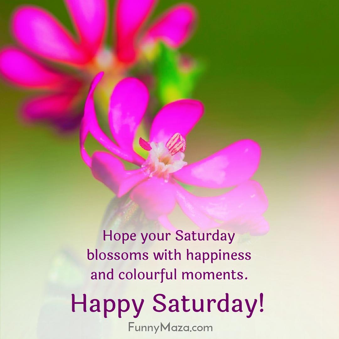 Hope your Saturday blossoms with happiness and colourful moments