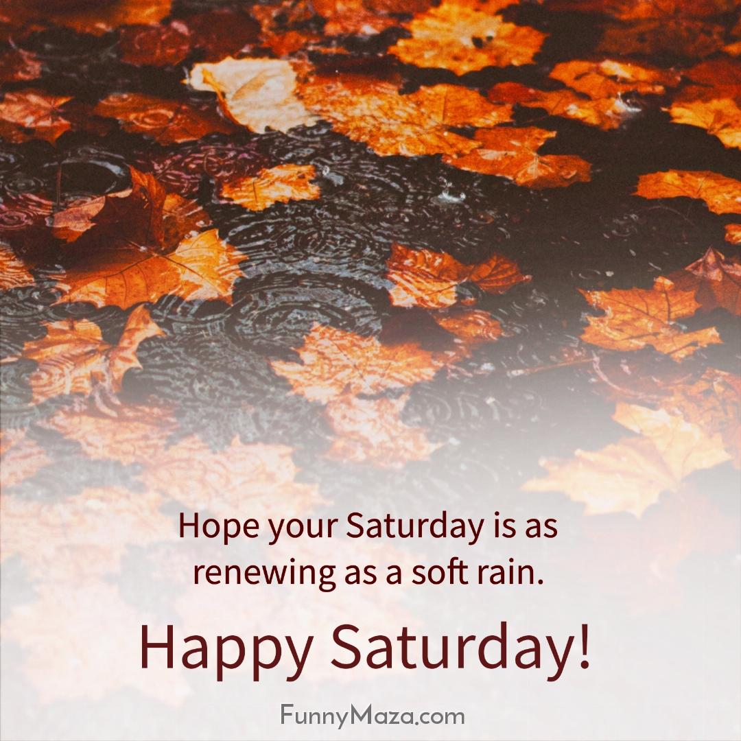 Hope your Saturday is as renewing as a soft rain