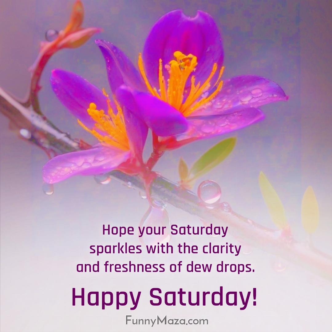 Hope your Saturday sparkles with the clarity and freshness of dew