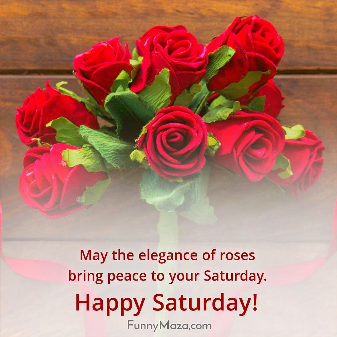 May the elegance of roses bring peace to your Saturday