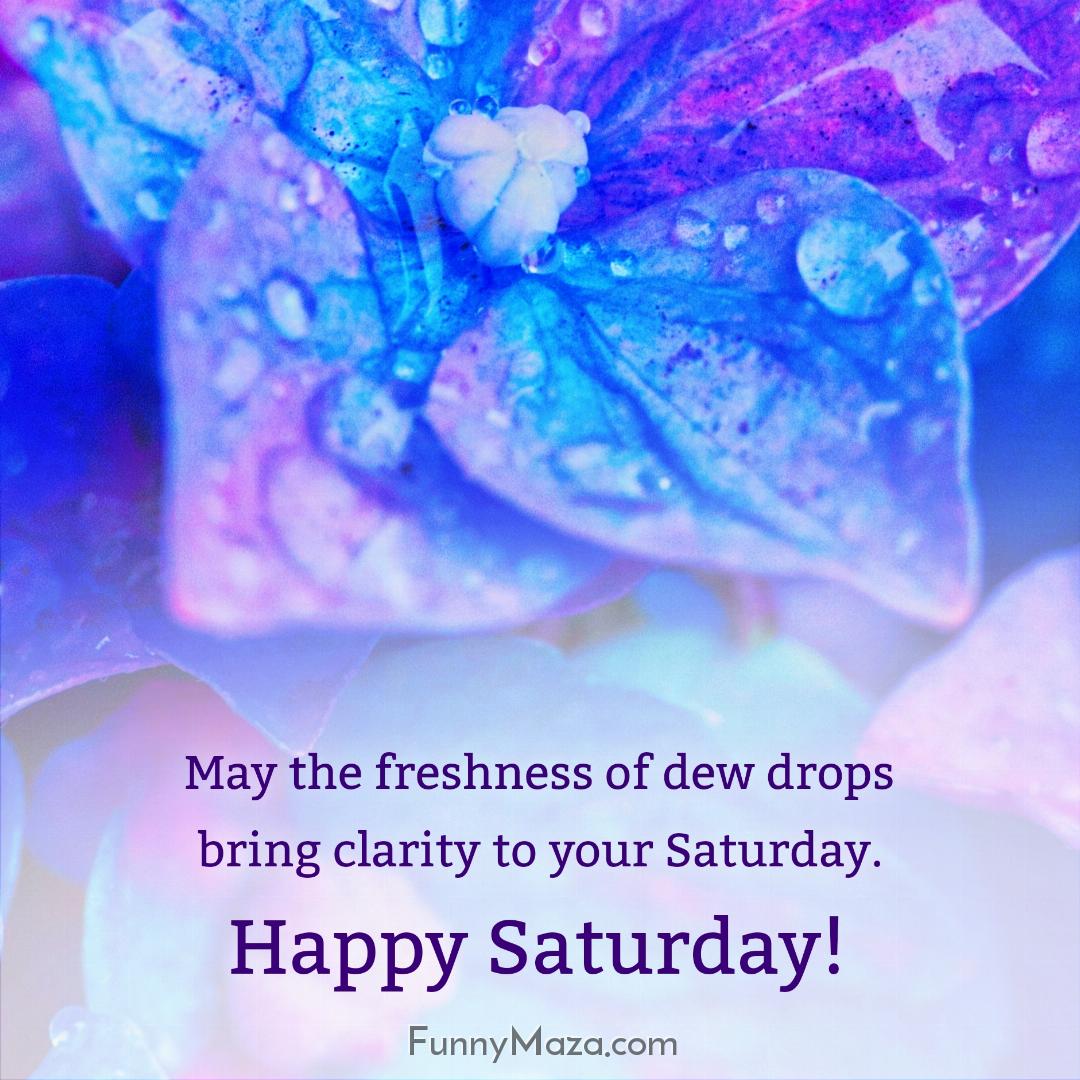 May the freshness of dew drops bring clarity to your Saturday