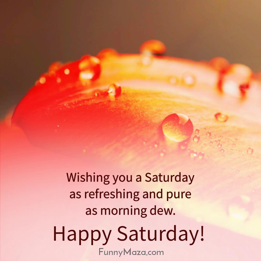 Wishing you a Saturday as refreshing and pure as morning dew