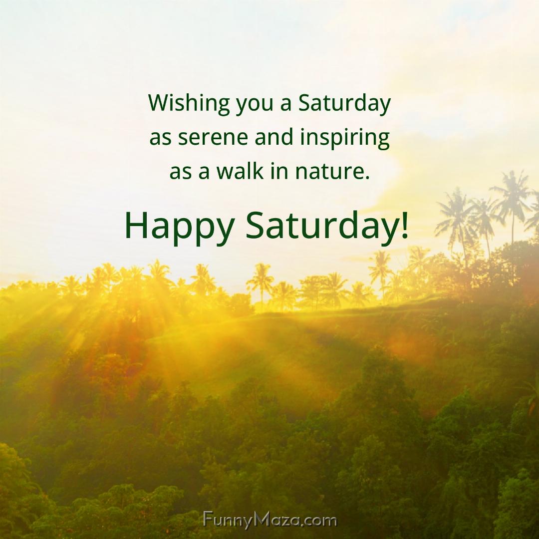 Wishing you a Saturday as serene and inspiring as a walk