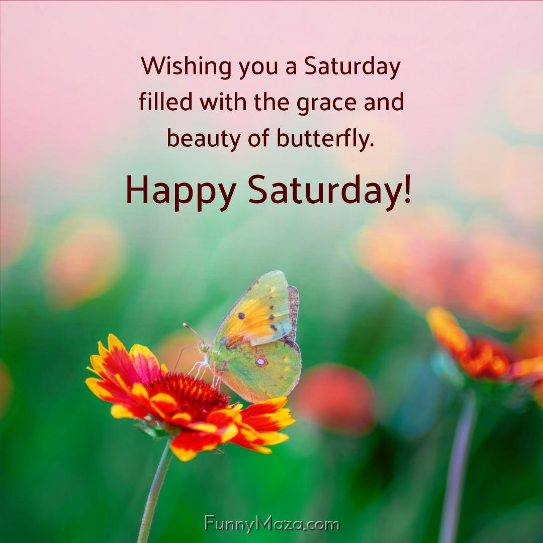 Wishing you a Saturday filled with the grace and beauty of