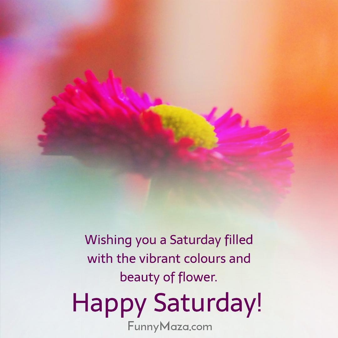 Wishing you a Saturday filled with the vibrant colours and beauty