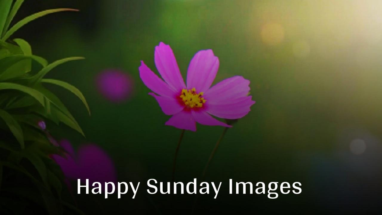 Beautiful Happy Sunday Images