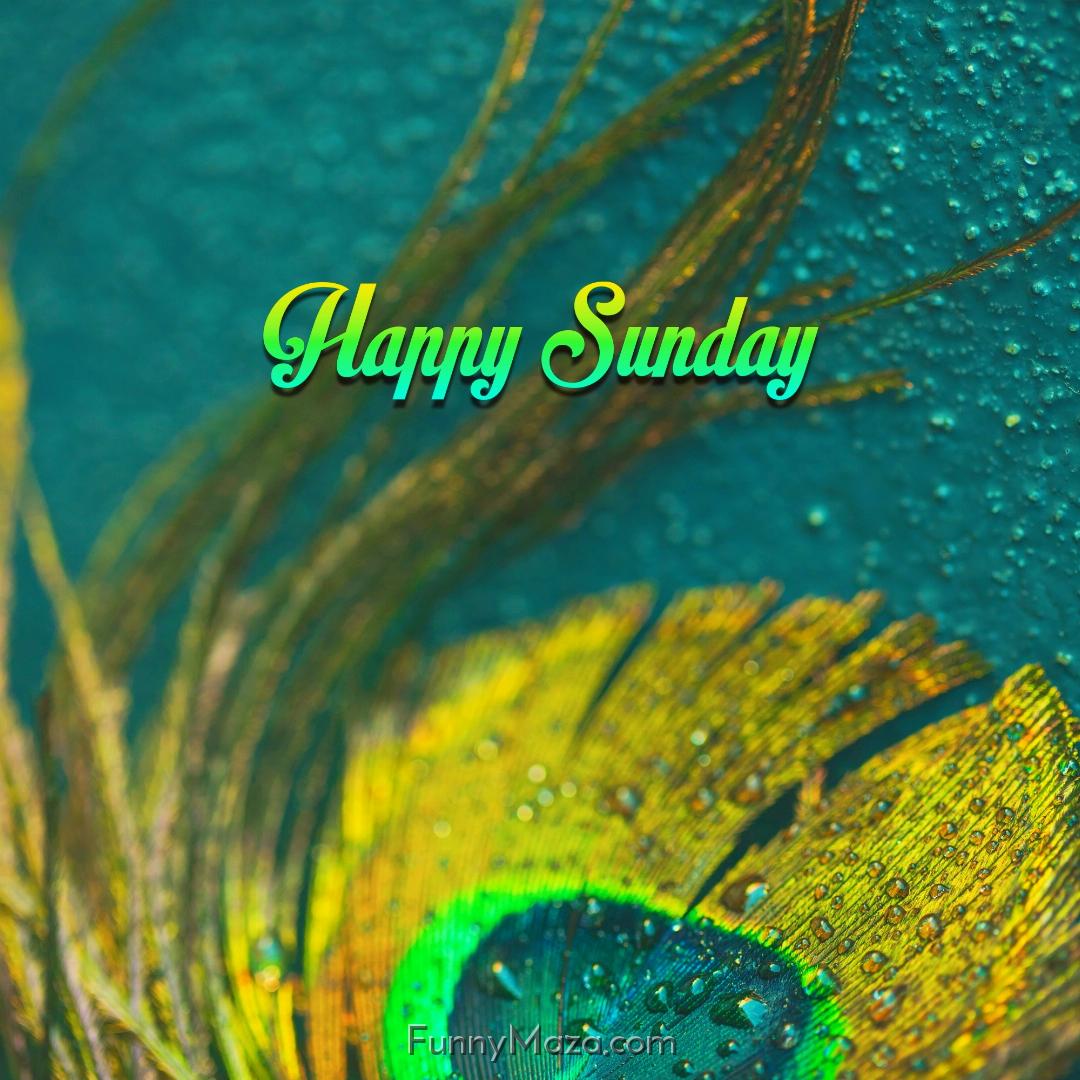 Happy Sunday Rainy Wallpaper