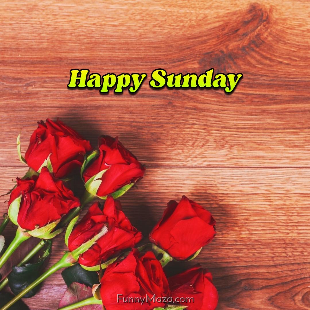 Happy Sunday Rose Love 2024 Images