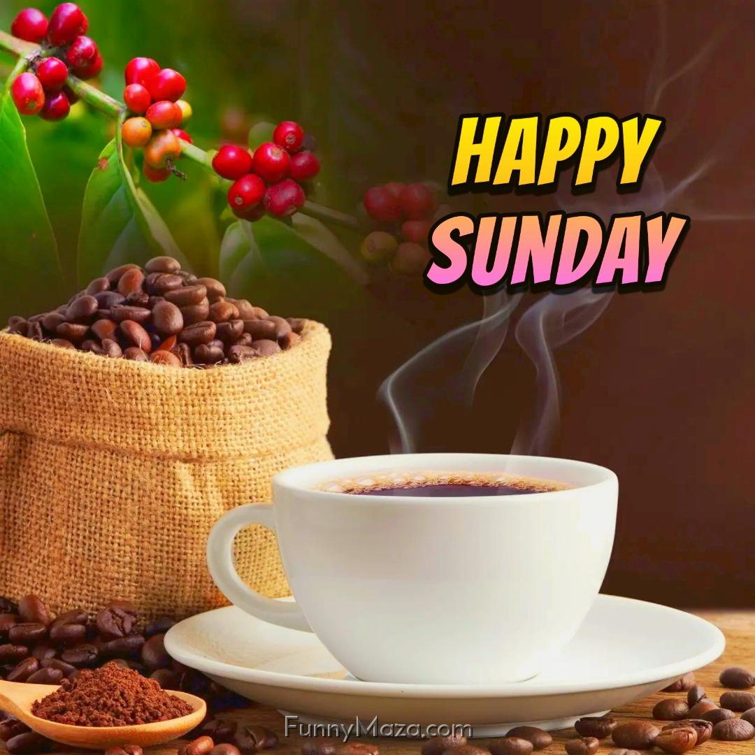 New Happy Sunday Coffee Images 2024 HD Download