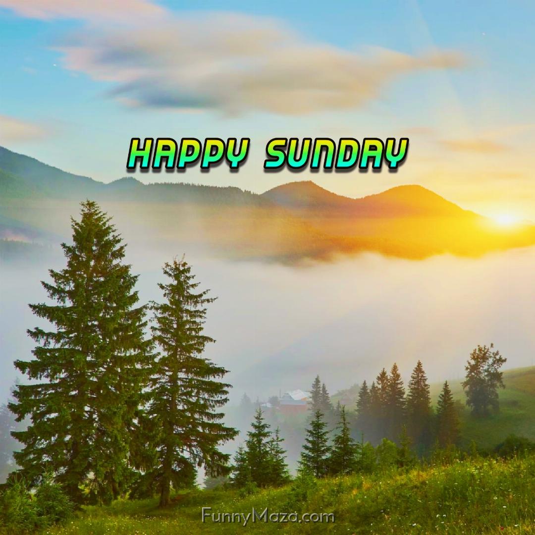 New Happy Sunday Nature Images 2024 HD Download