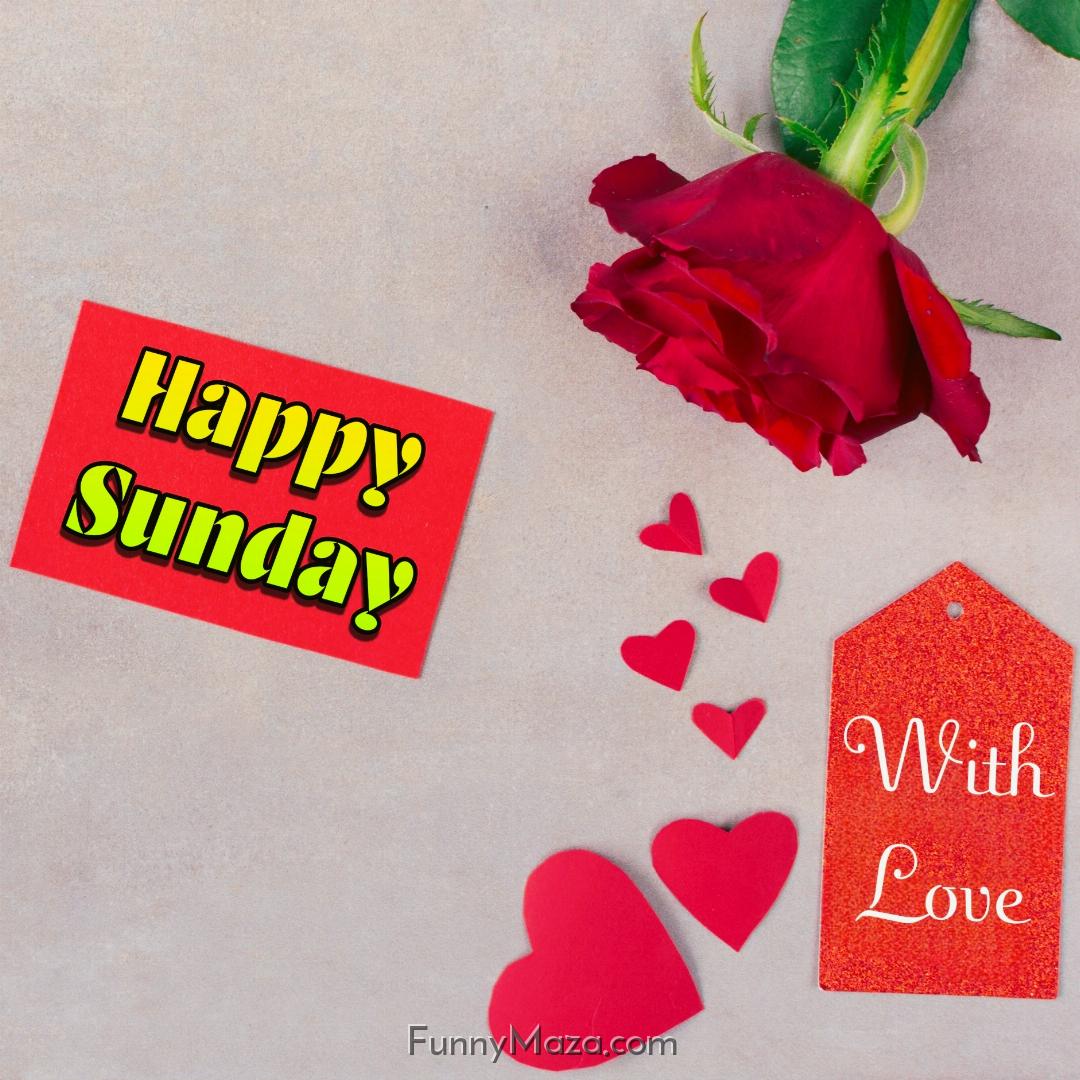 New Happy Sunday Rose Love Images 2024 HD Download