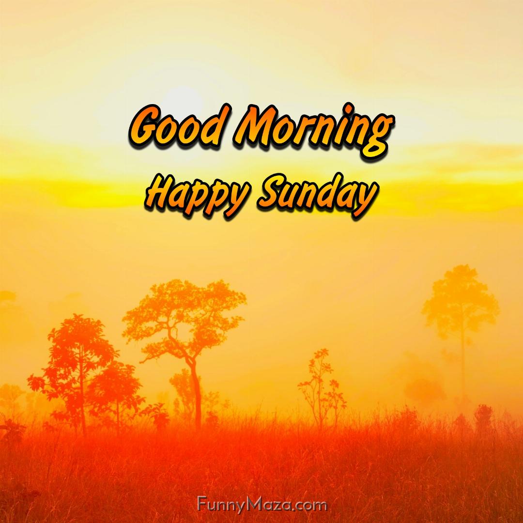 Good Morning Happy Sunday Nature Wallpaper