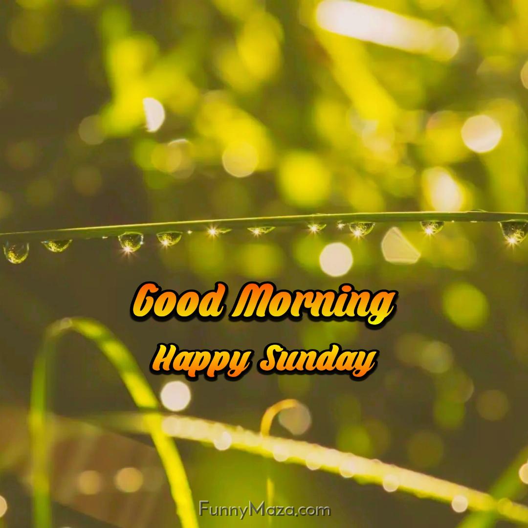 Good Morning Happy Sunday Rainy 2024 Images