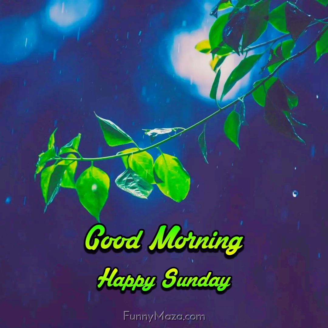 Good Morning Happy Sunday Rainy Wallpaper