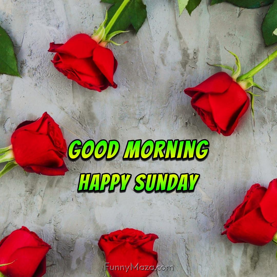 Good Morning Happy Sunday Rose Love 2024 Images